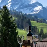 公寓 Diablerets Gsteig