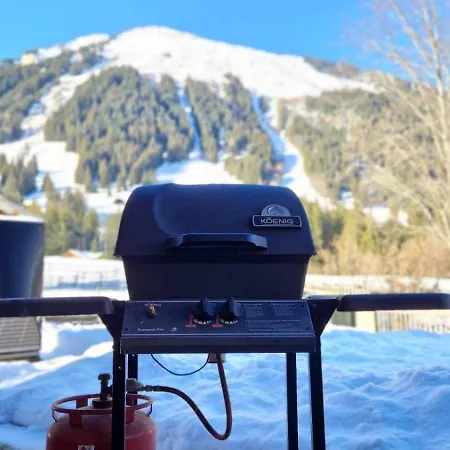 Apartmán Diablerets Gsteig